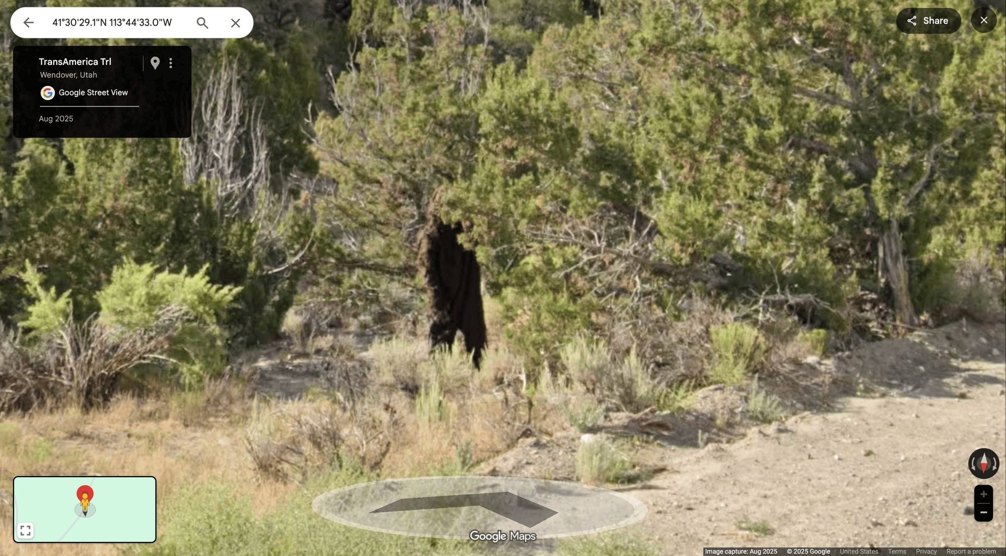 Sasquatch, spotted on the trail’s Street View.
